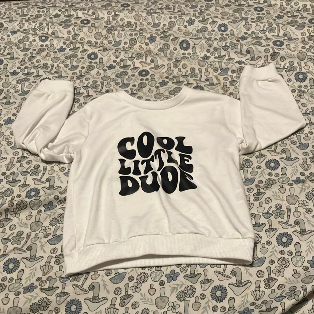 Toddler Boys Graphic Sweatshirt “Cool Little Dude”